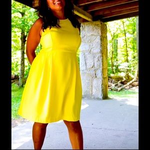 2/$25 LOFT Dress w/ pockets!